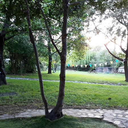 Havre De Paix Entre Mer Et Montagne A Ceret Pour 4 A 5 Pers Ngoại thất bức ảnh